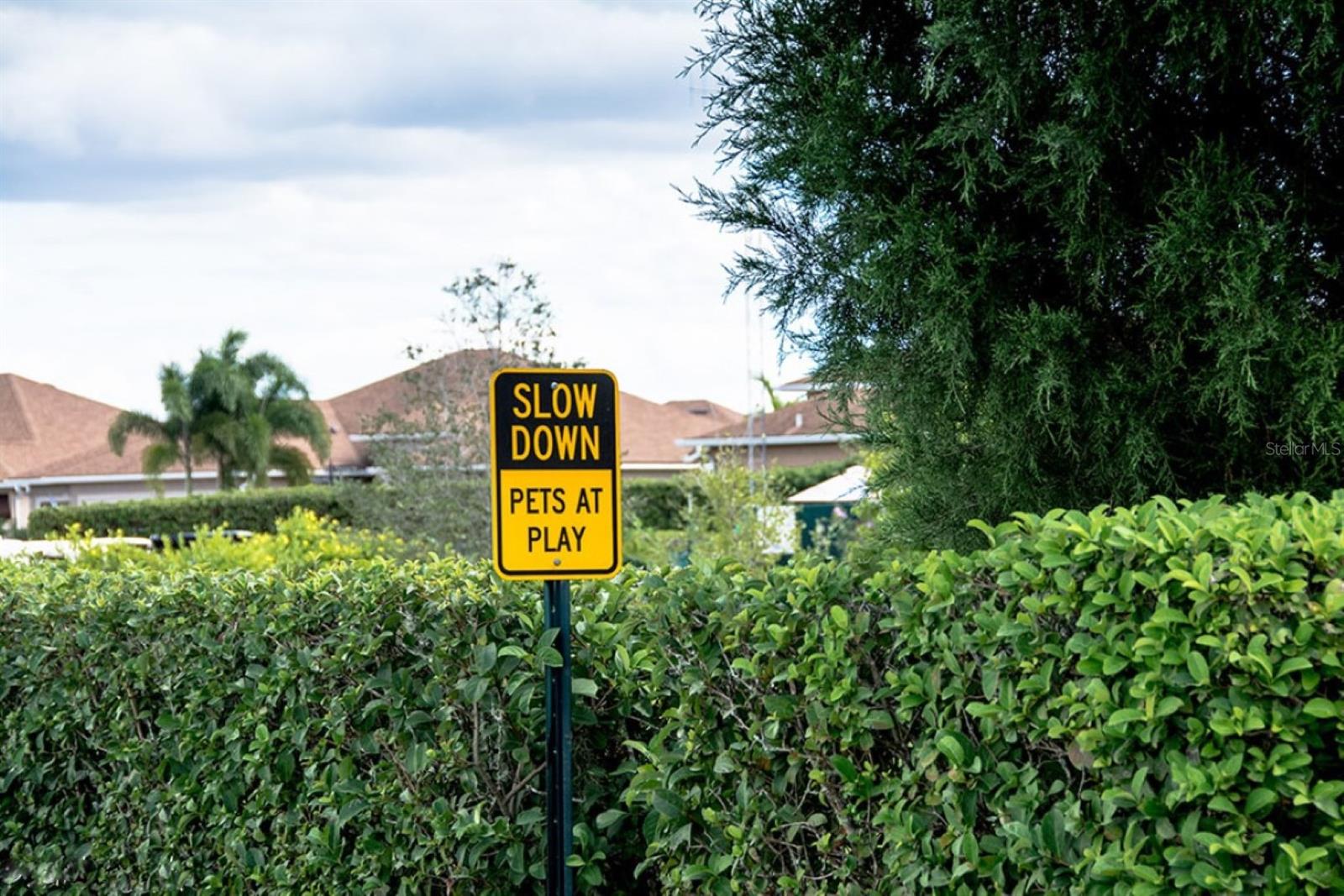 Image 98 of 100 For 4360 Ashton Club Drive