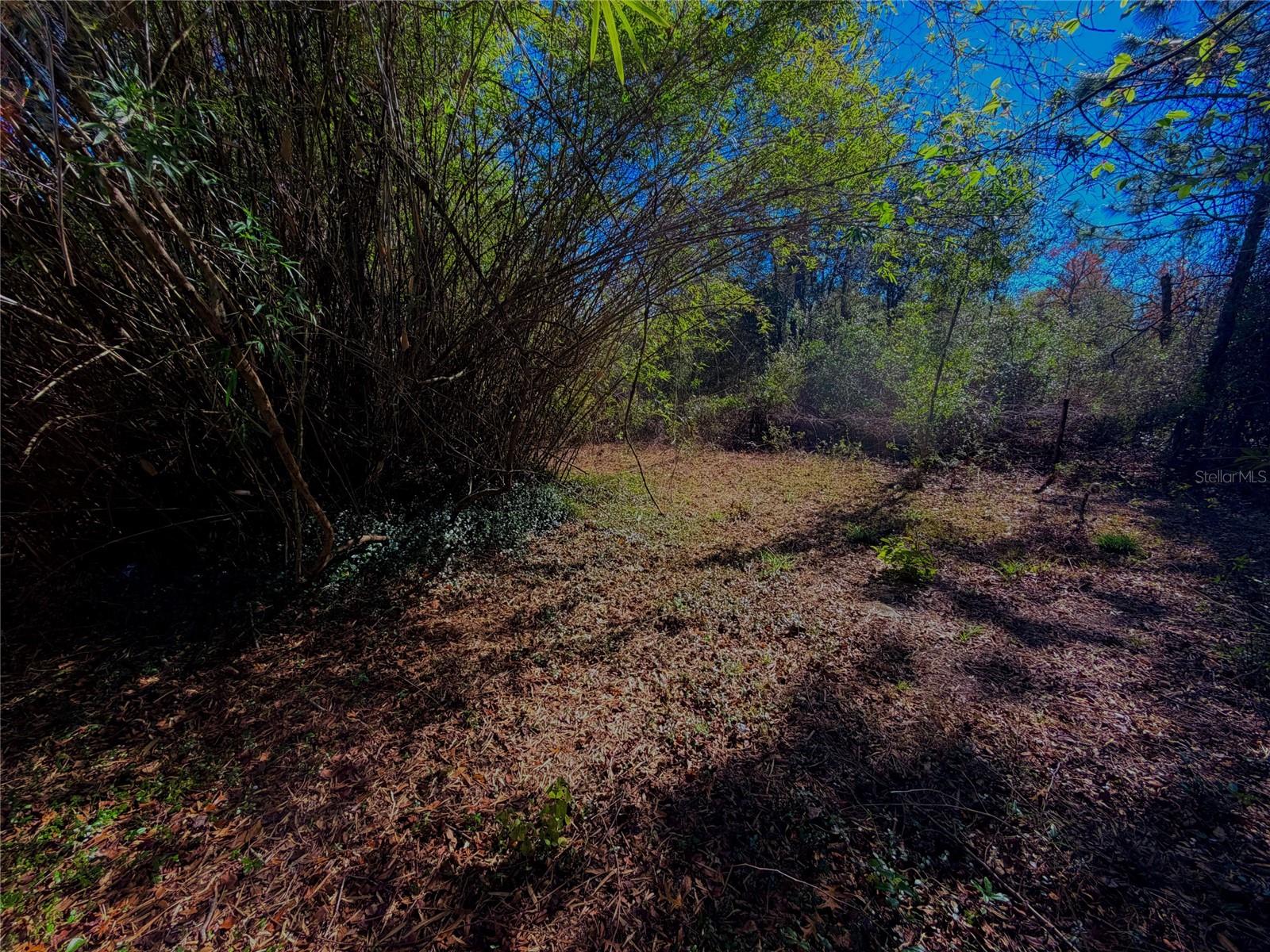 Image 10 of 51 For 7260 Woodstock Street