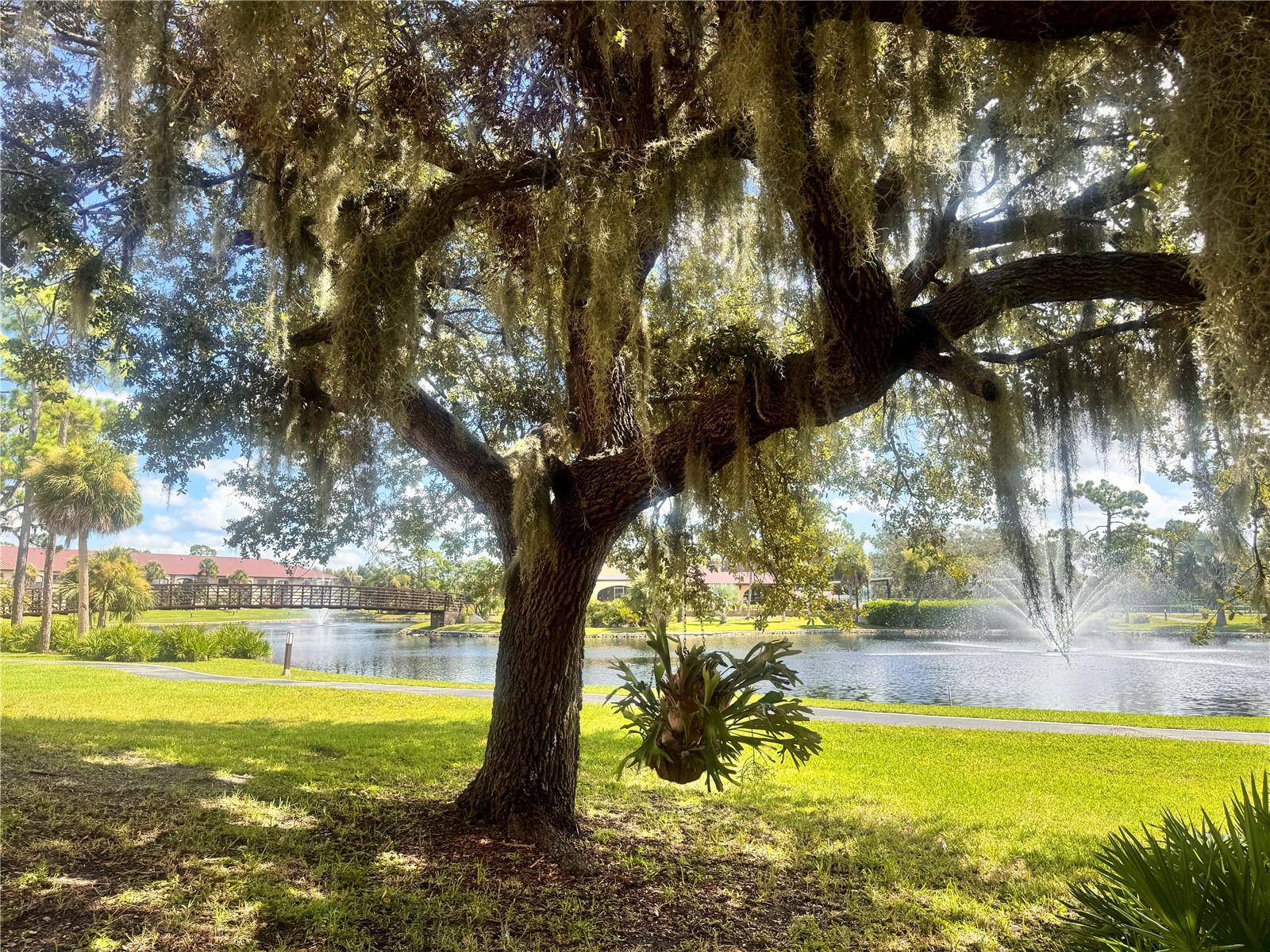 Image 38 of 50 For 23465 Harborview Road 201