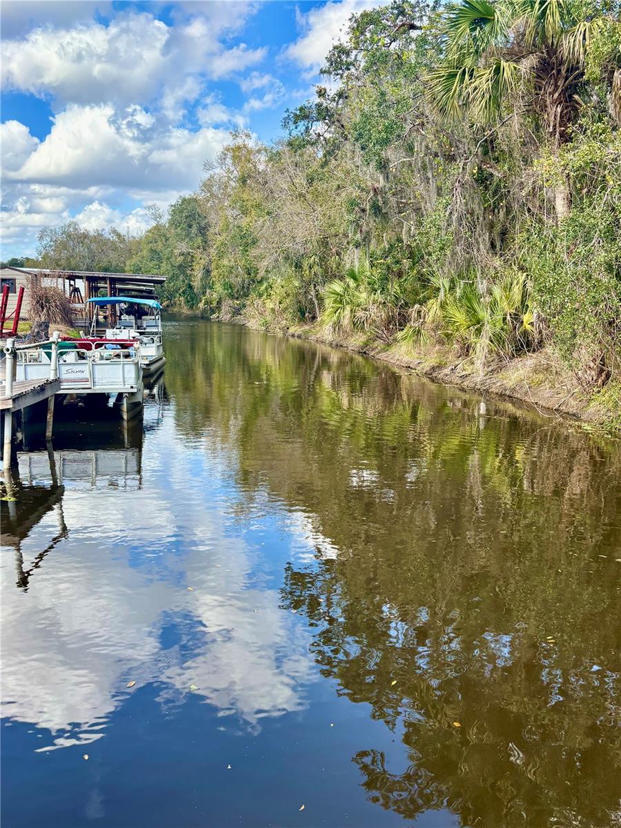 Image 25 of 28 For 76 Rosalie Oaks Boulevard