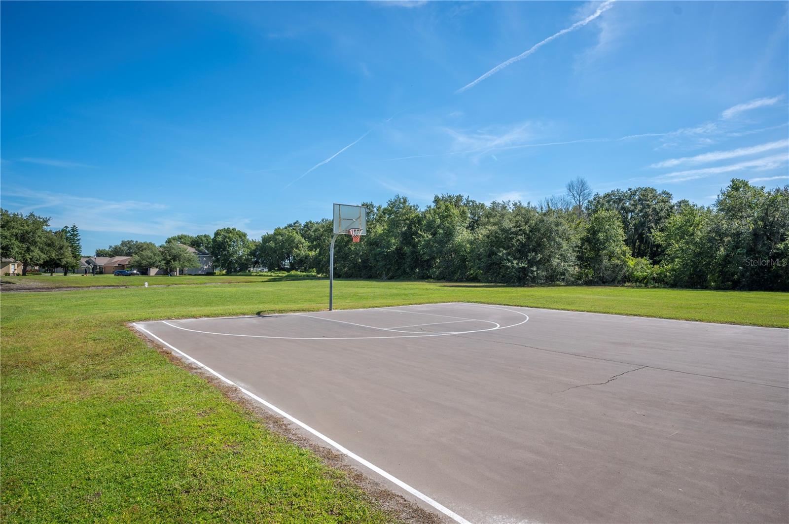 Image 43 of 46 For 4734 Lathloa Loop