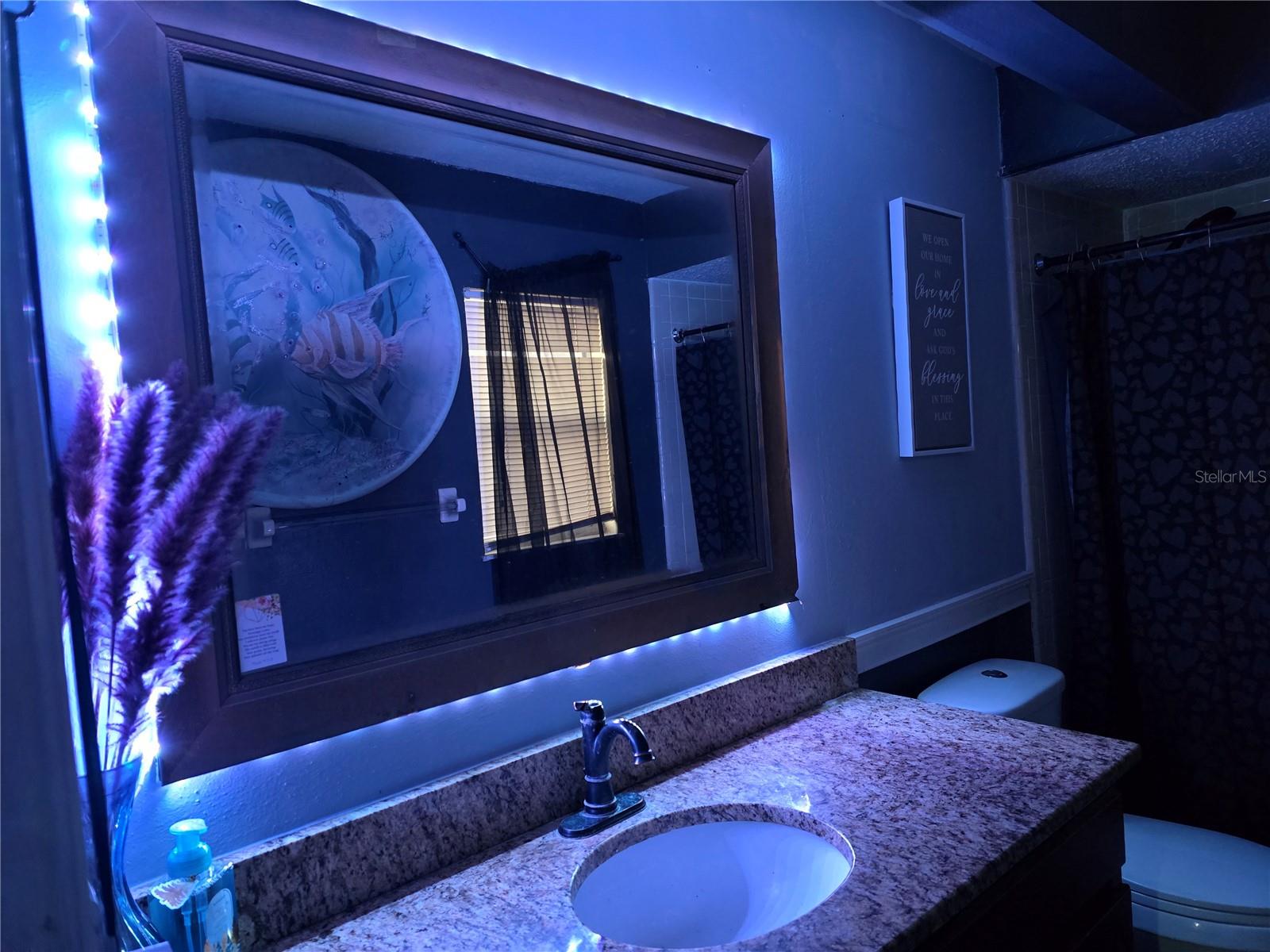 Image 62 of 77 For 431 Cart Ct