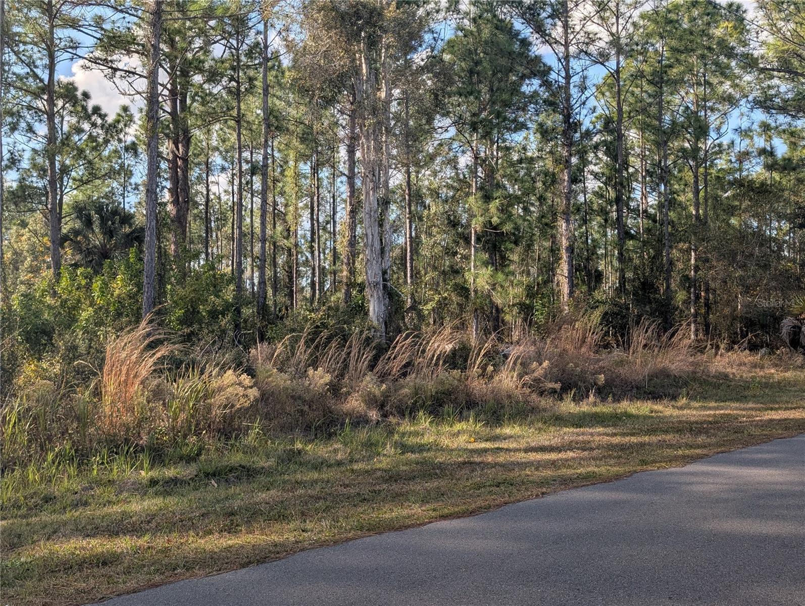 Details for 5 Lantana Drive S, INDIAN LAKE ESTATES, FL 33855