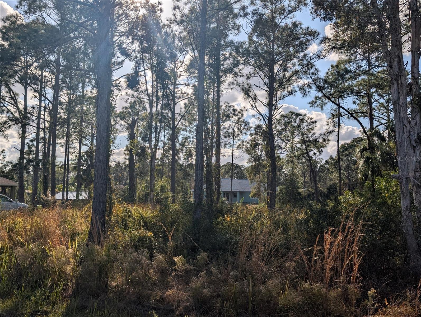 Image 10 of 40 For 5 Lantana Drive S