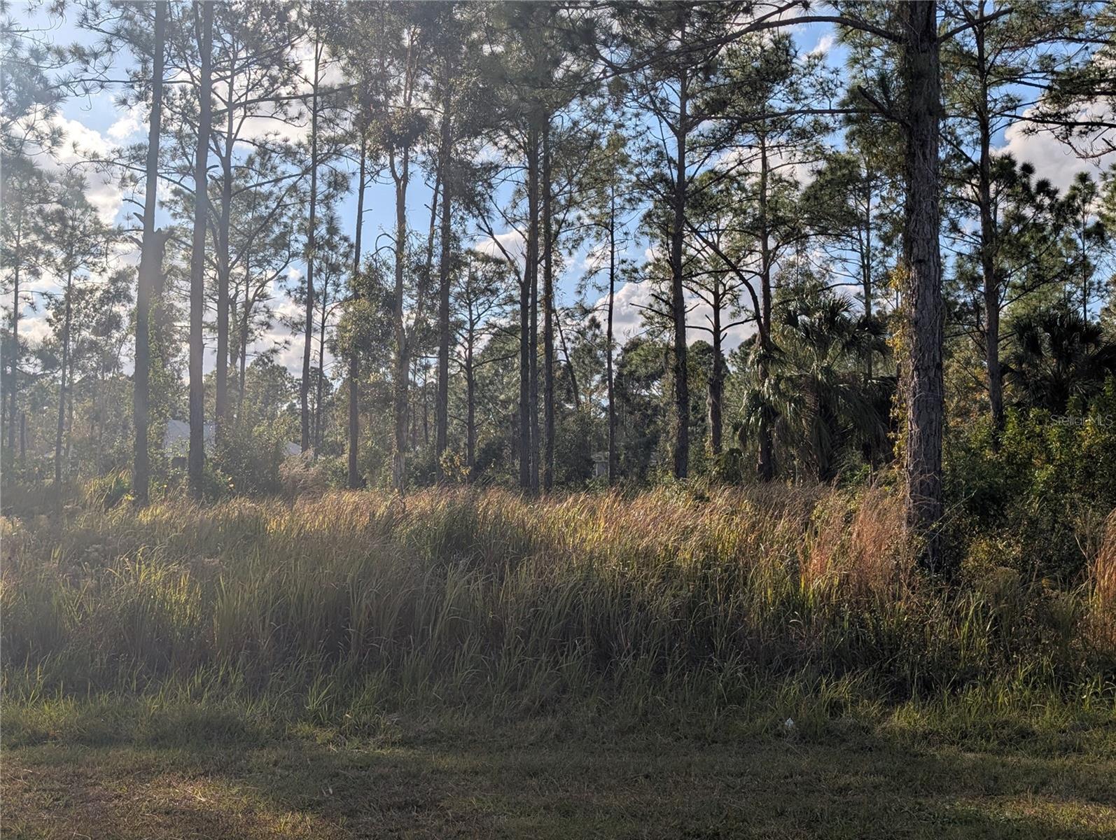 Image 2 of 40 For 5 Lantana Drive S