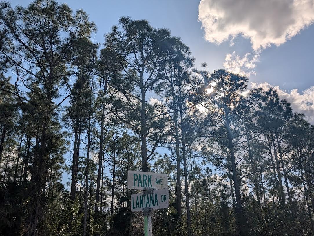 Image 3 of 40 For 5 Lantana Drive S