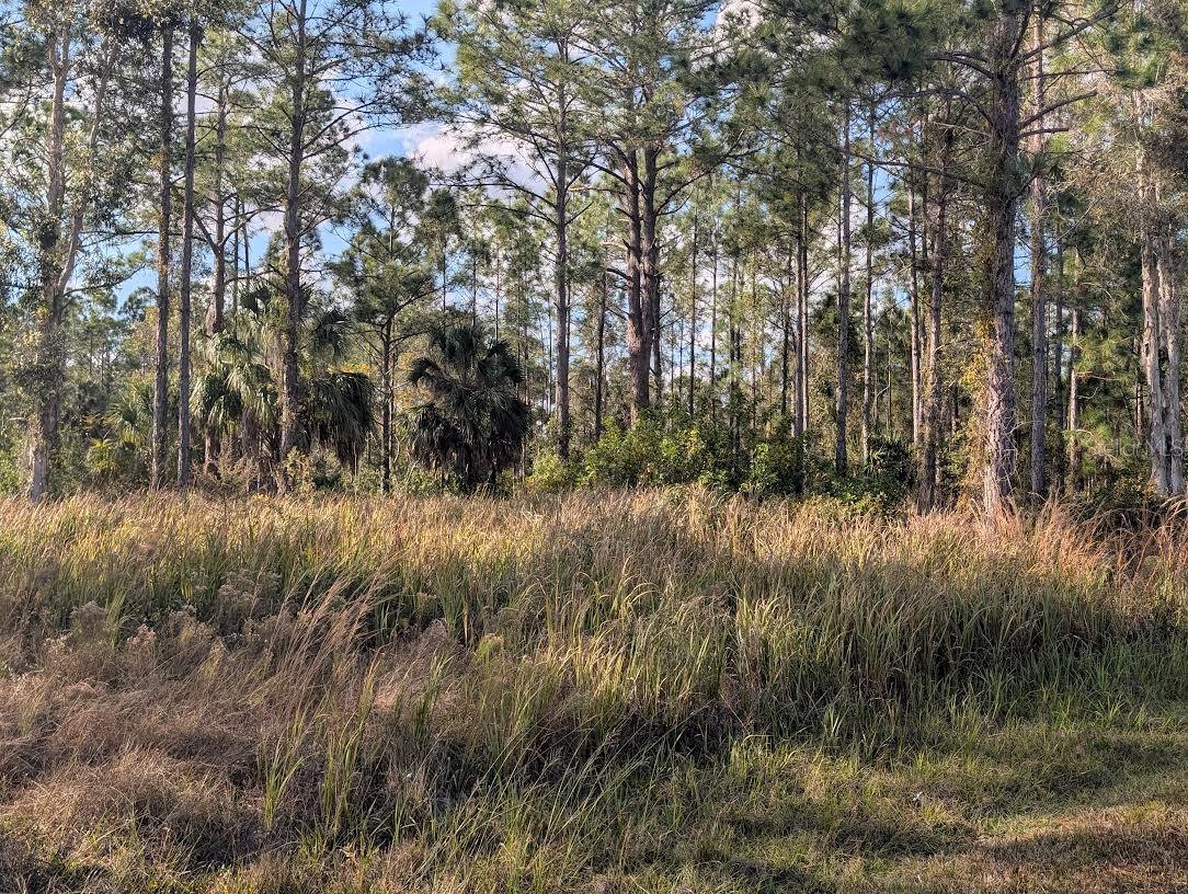 Image 8 of 40 For 5 Lantana Drive S