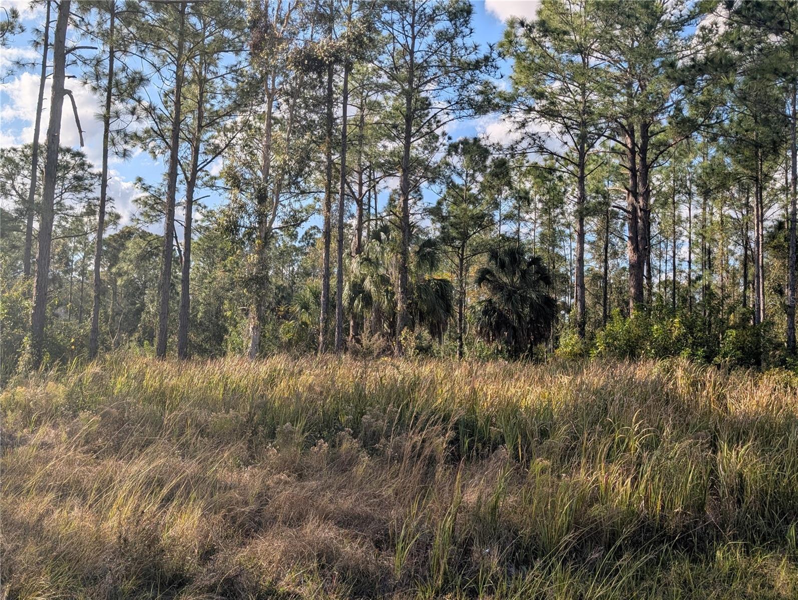 Image 9 of 40 For 5 Lantana Drive S