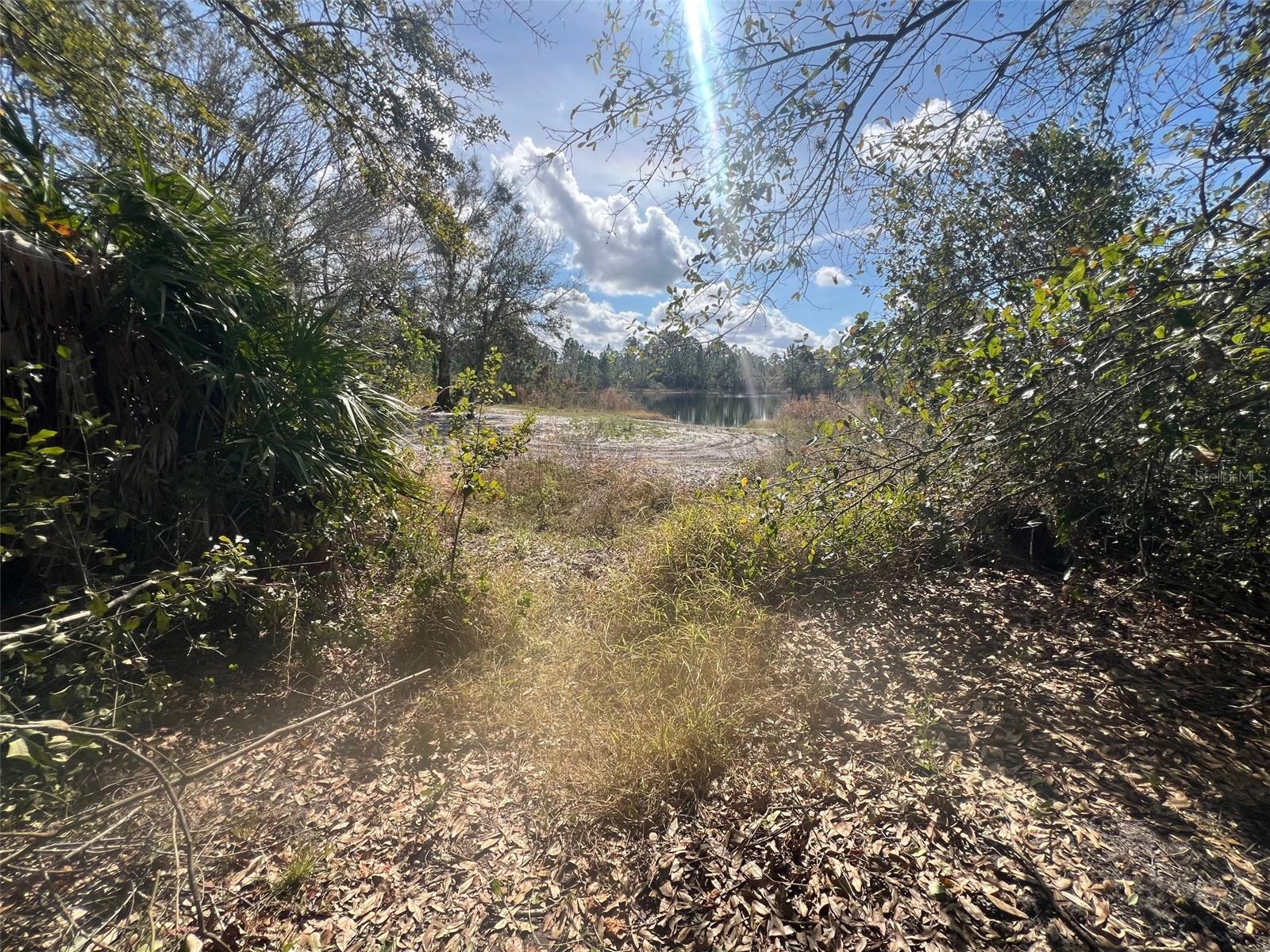 Image 10 of 52 For Silver Palm Drive