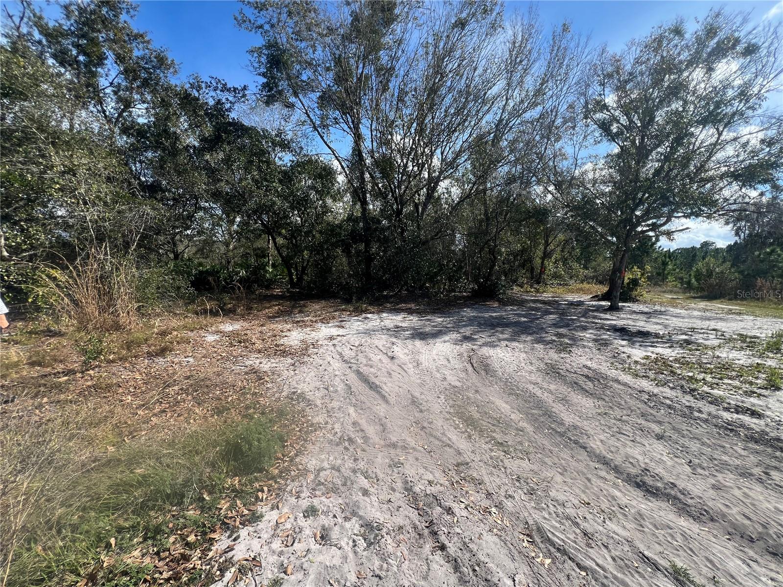 Image 11 of 52 For Silver Palm Drive