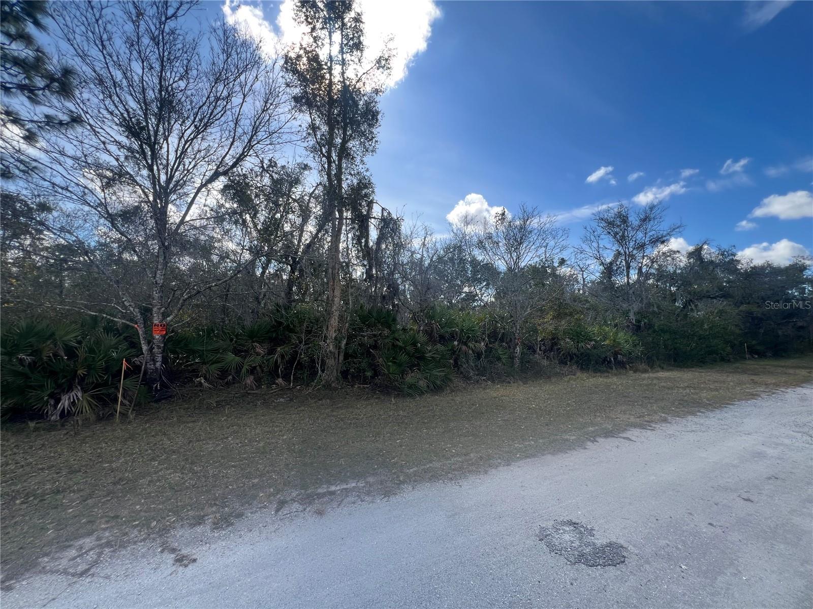 Image 3 of 52 For Silver Palm Drive