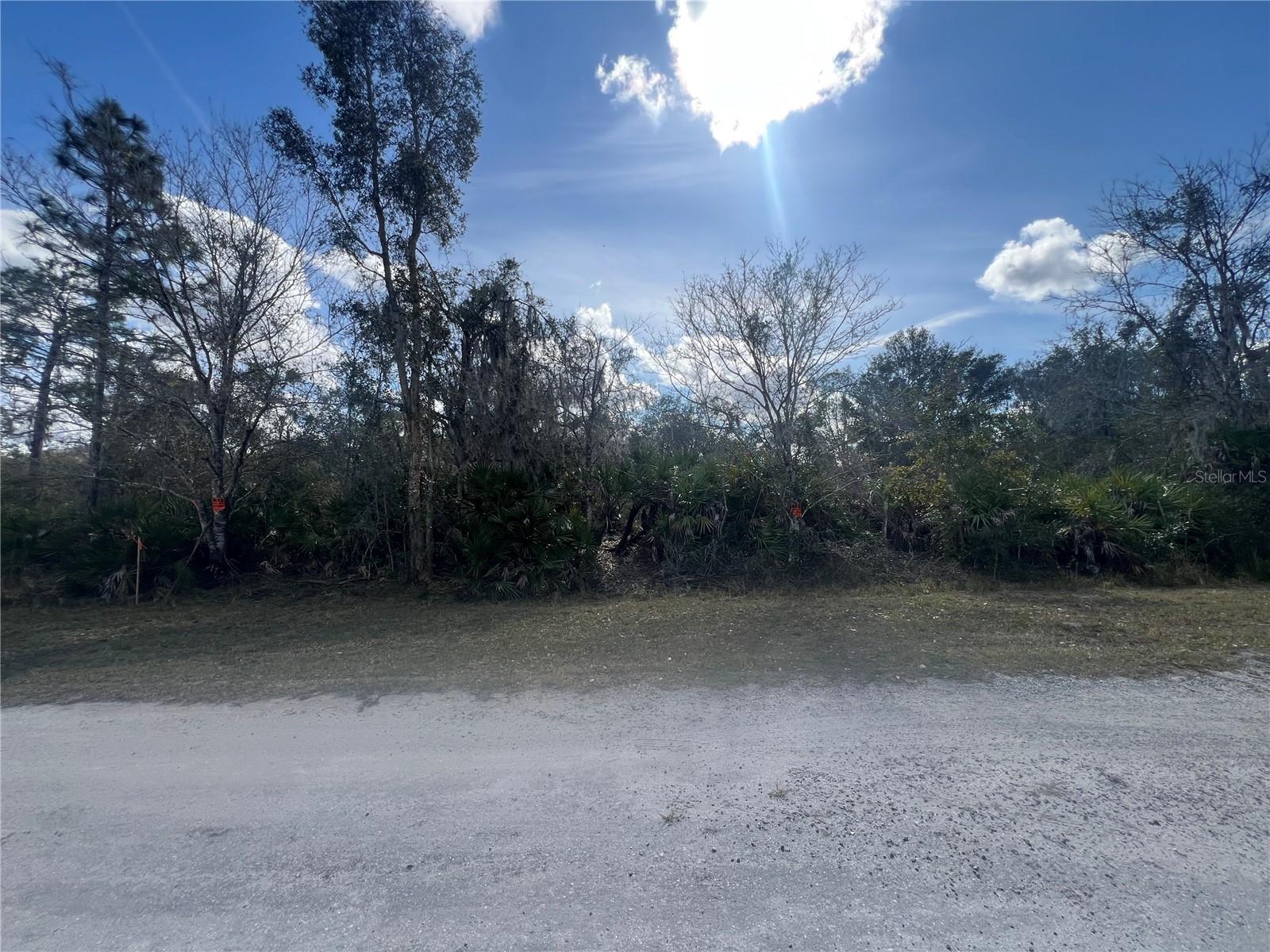 Image 5 of 52 For Silver Palm Drive