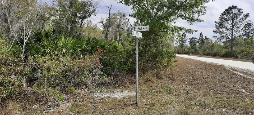 Image 8 of 52 For Silver Palm Drive