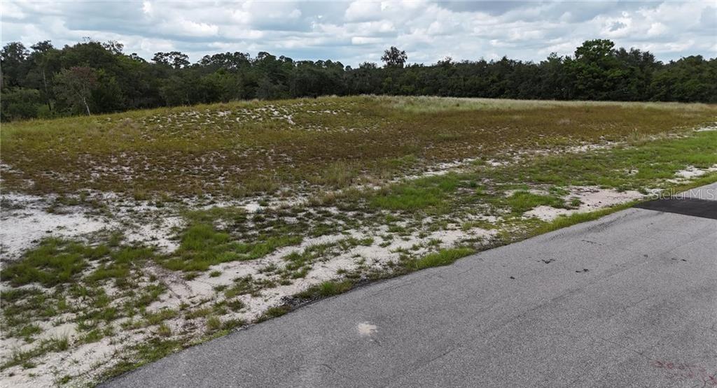 Image 11 of 12 For  Deer Road 