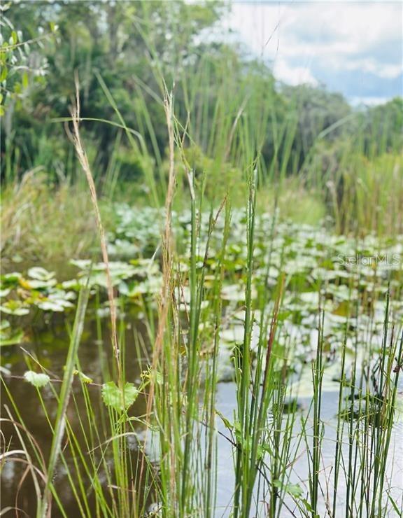 Image 4 of 12 For  Deer Road 