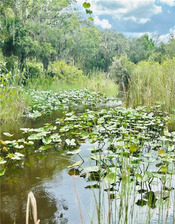 Image 6 of 12 For  Deer Road 