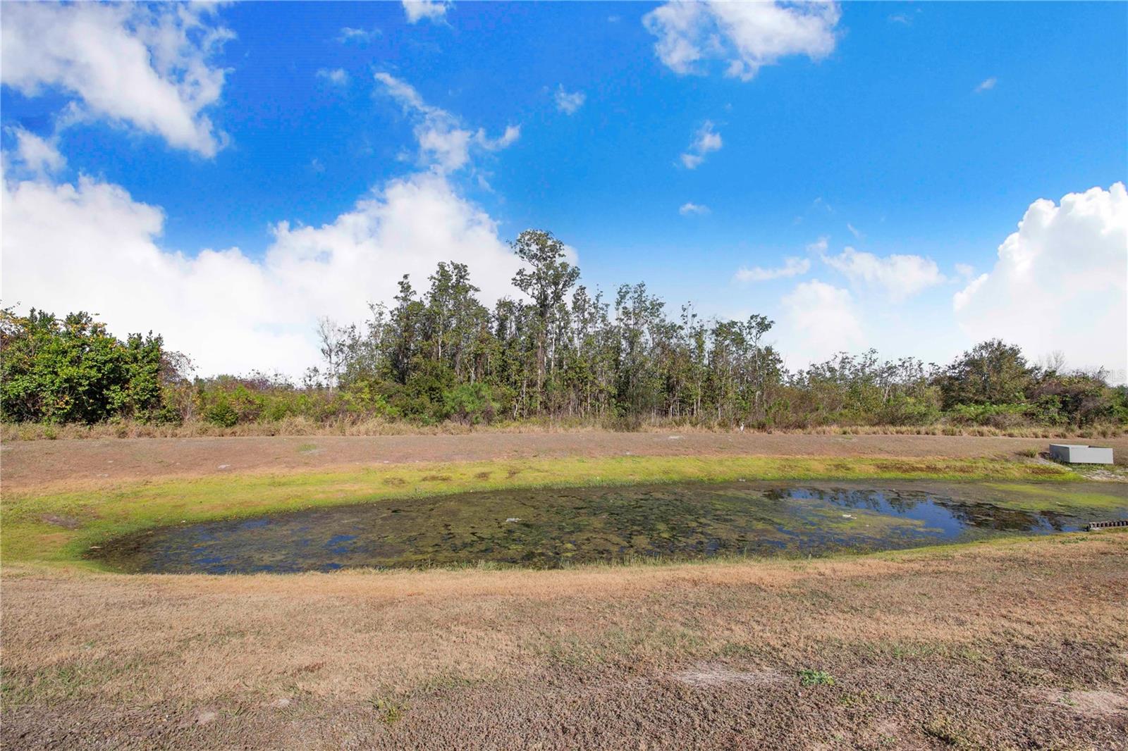 Image 24 of 34 For 355 Estates Court