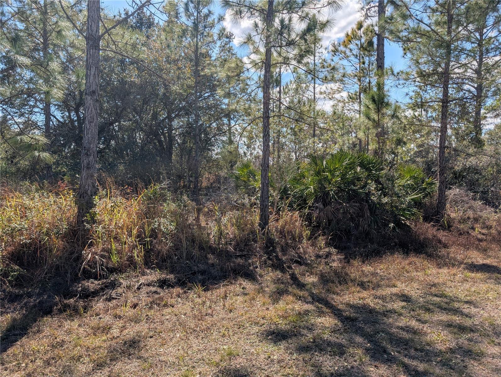 Image 4 of 41 For 711 Azalea Drive