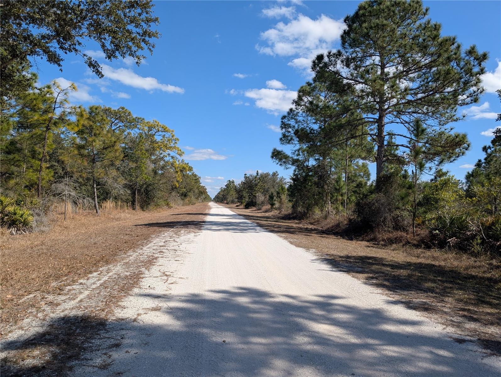 Image 5 of 41 For 711 Azalea Drive