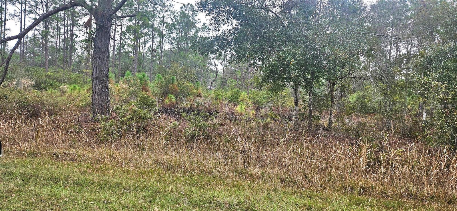 Image 3 of 12 For 408 Pandora Drive