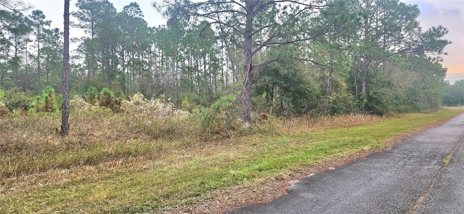 Image 4 of 12 For 408 Pandora Drive