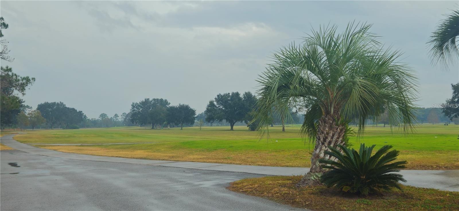 Image 8 of 12 For 408 Pandora Drive