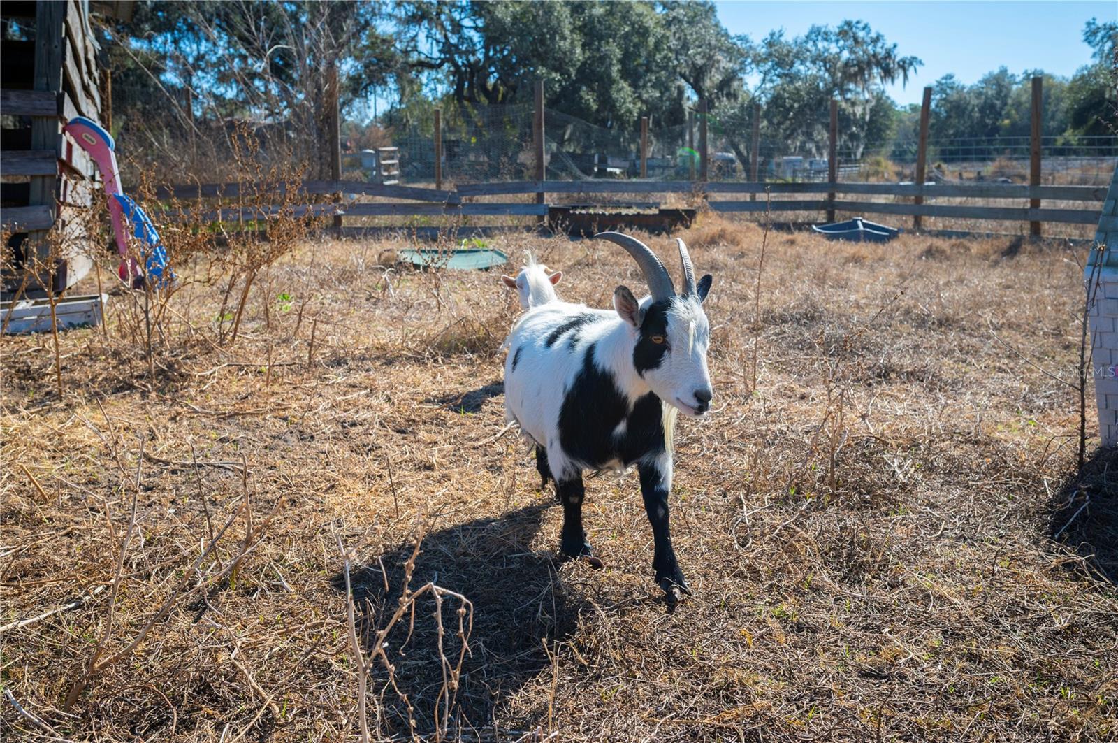 Image 27 of 60 For 6531 Durant Road