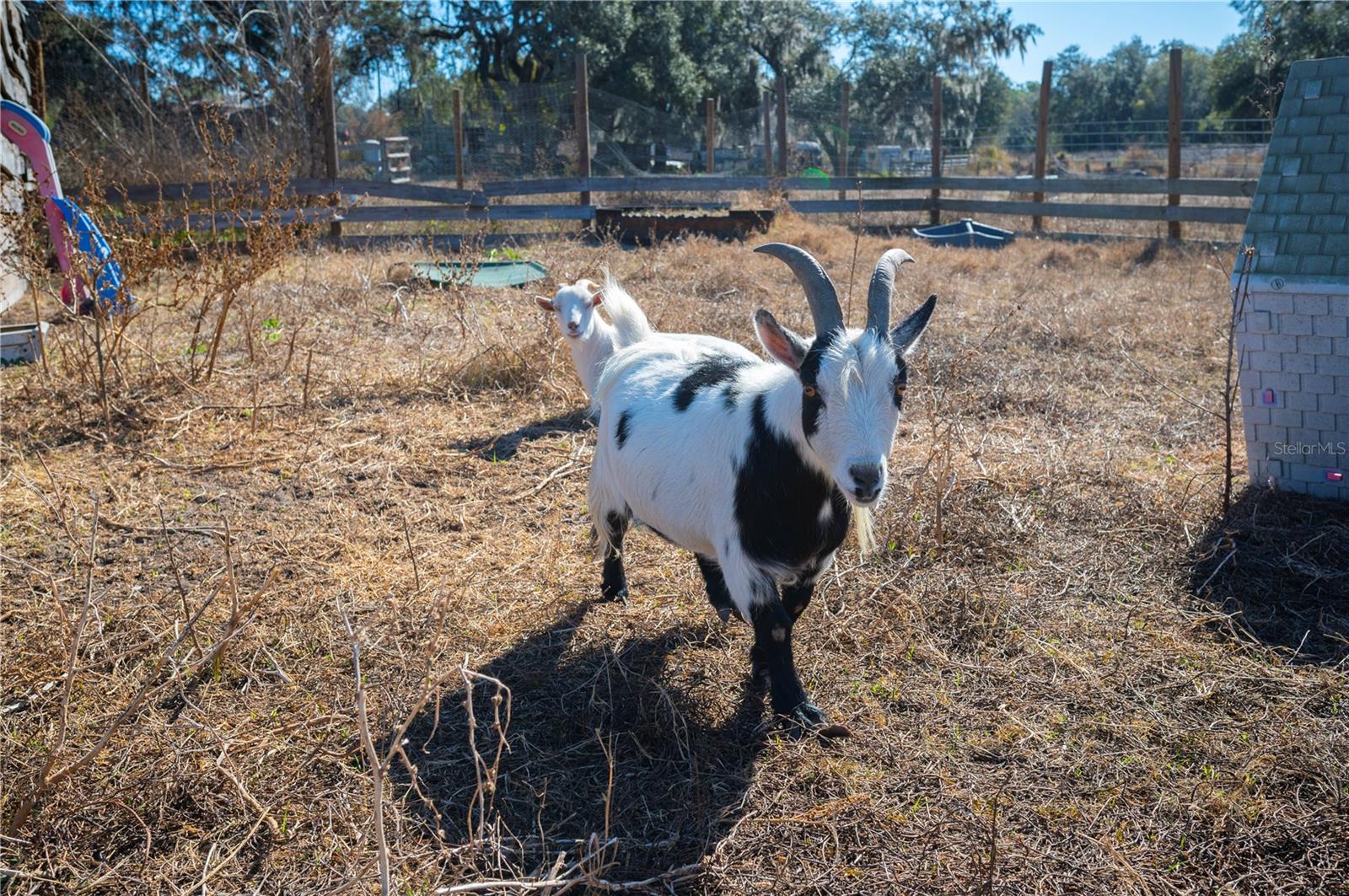 Image 28 of 60 For 6531 Durant Road