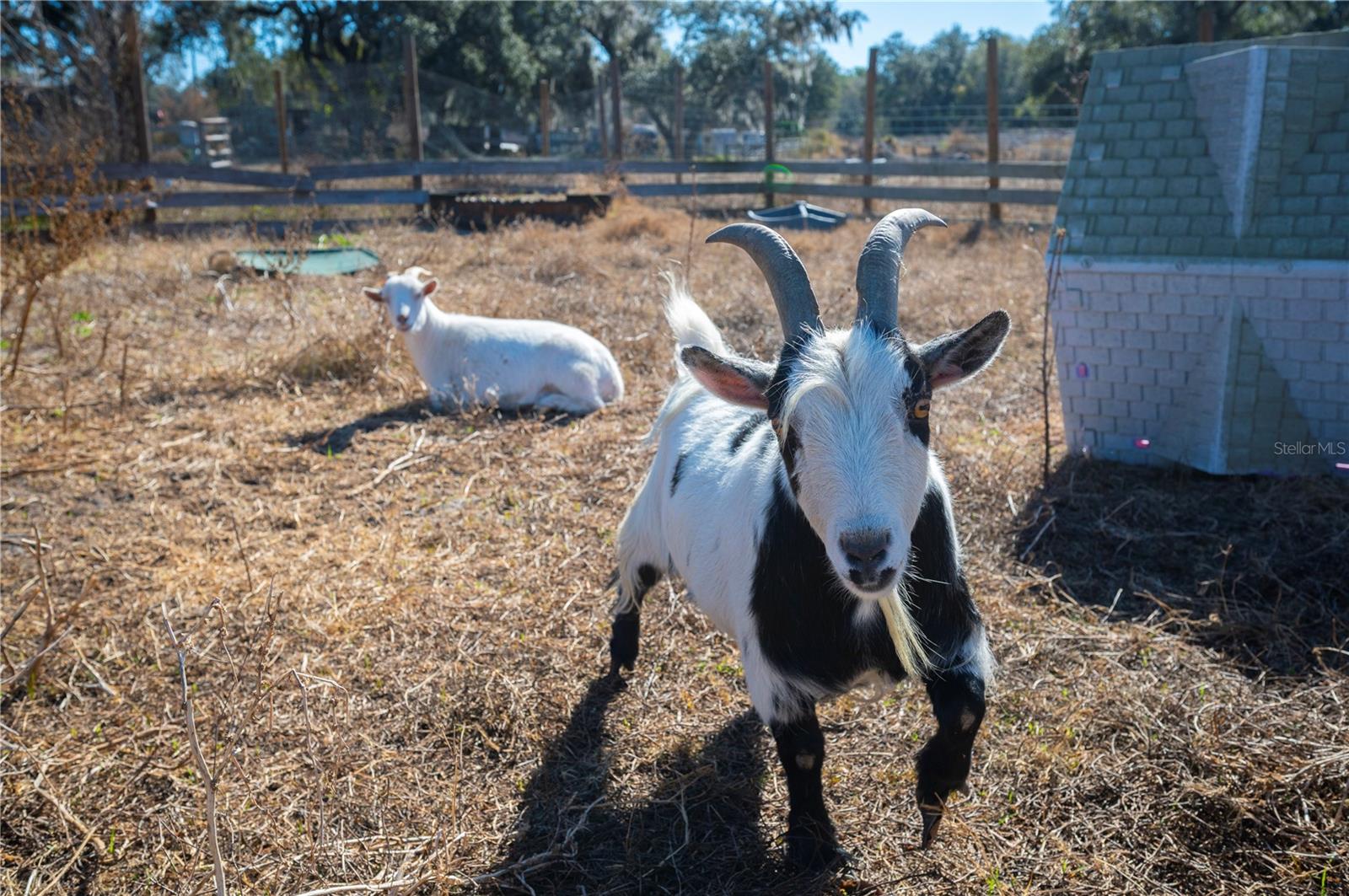 Image 29 of 60 For 6531 Durant Road