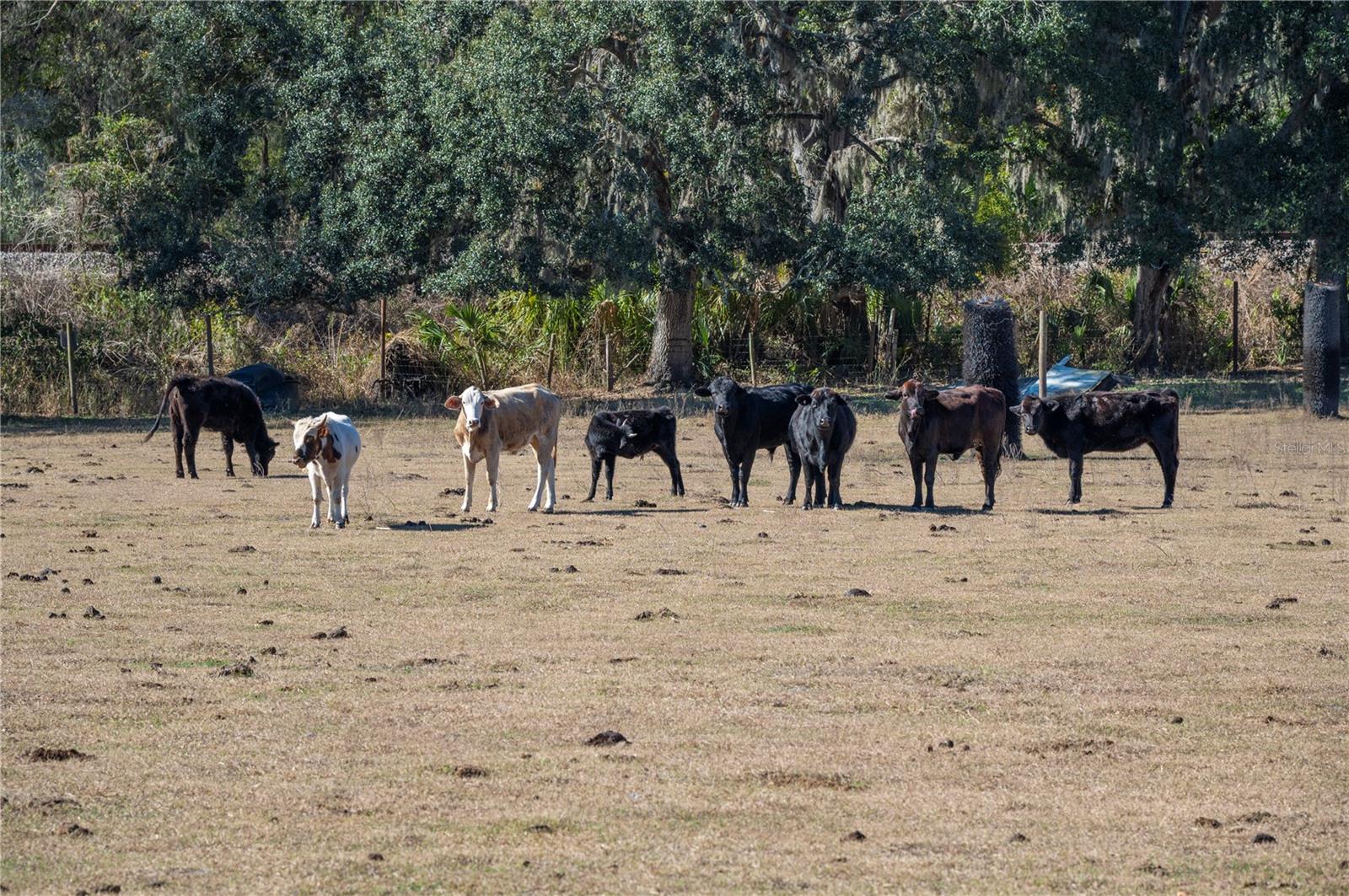 Image 33 of 60 For 6531 Durant Road