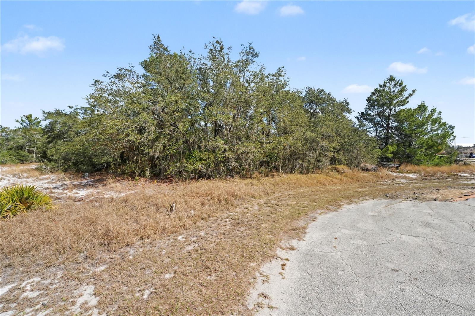 Image 4 of 17 For 611 Amazon Court