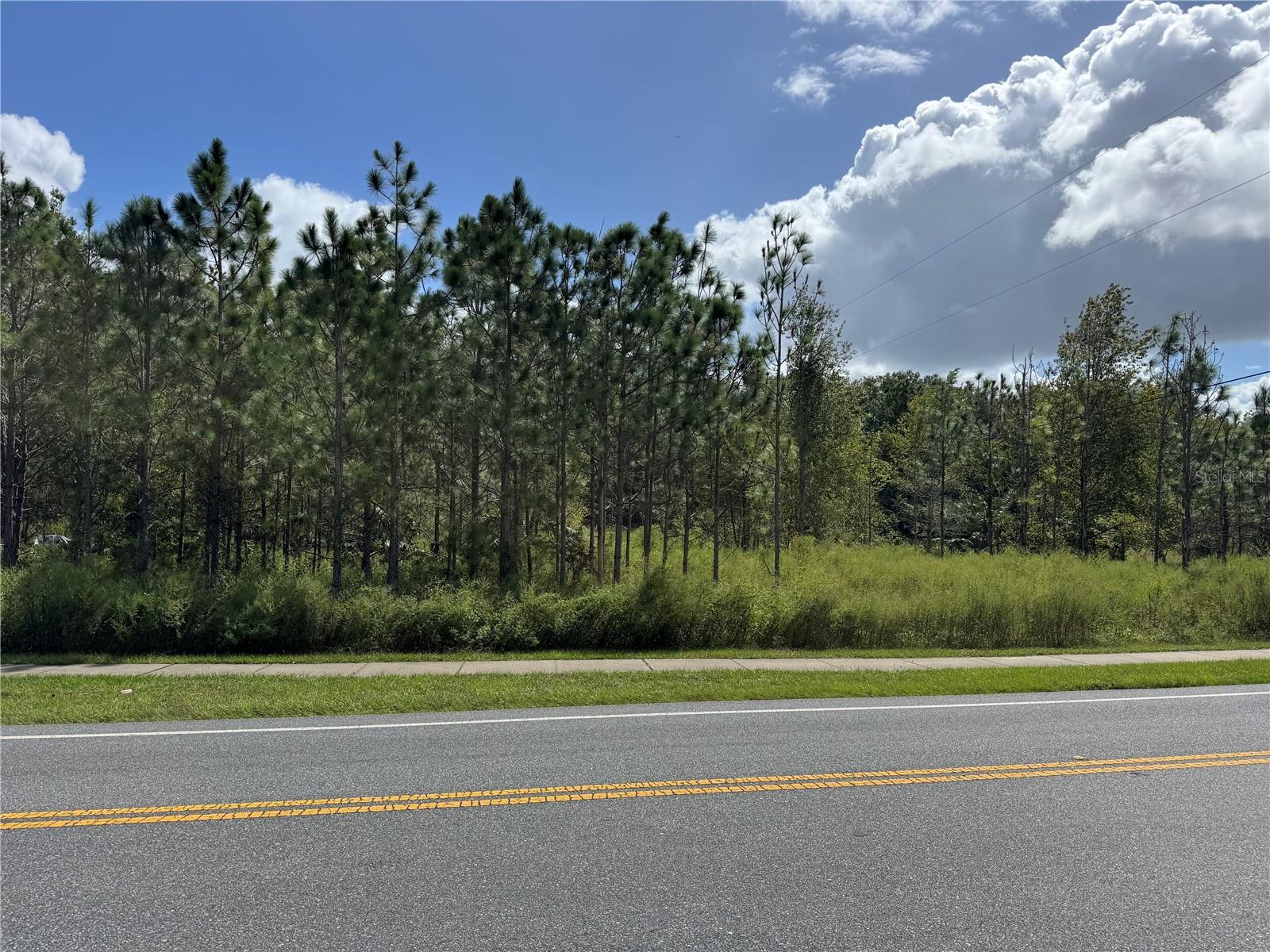 Details for Fishermans Road, PAISLEY, FL 32767
