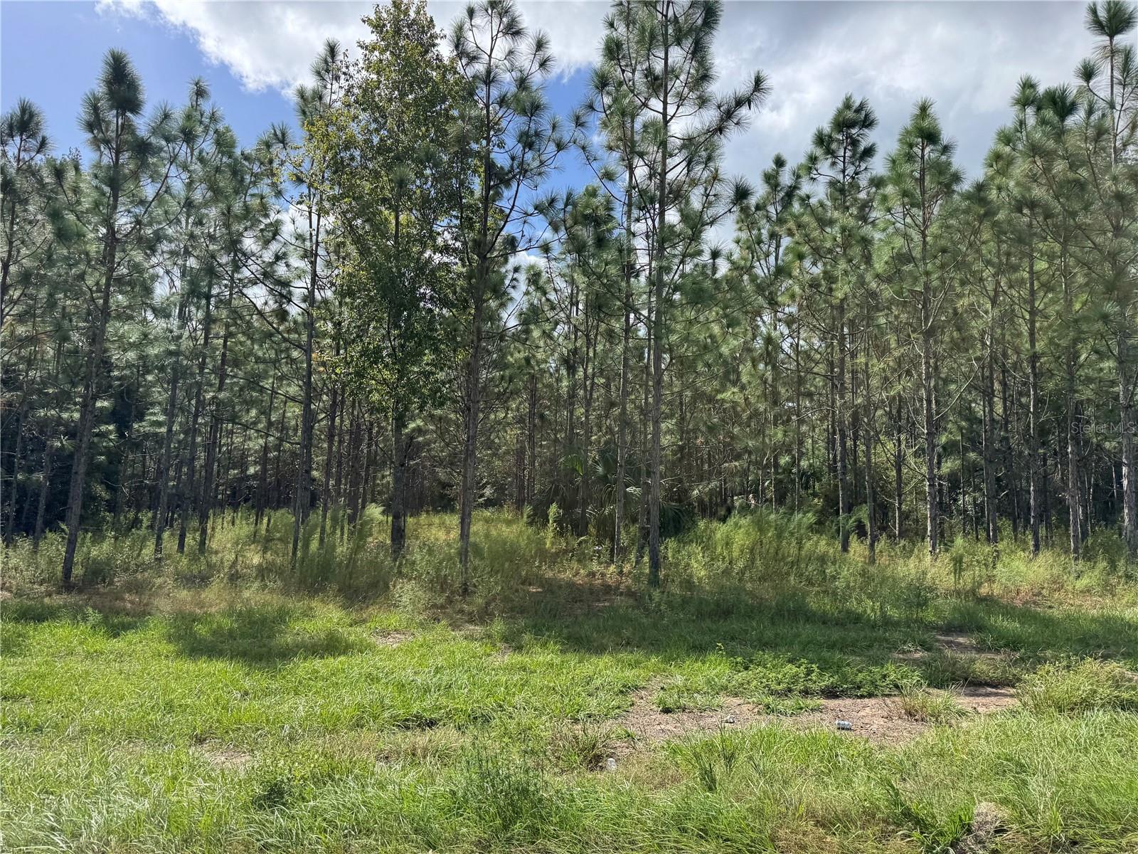 Image 7 of 8 For Fishermans Road