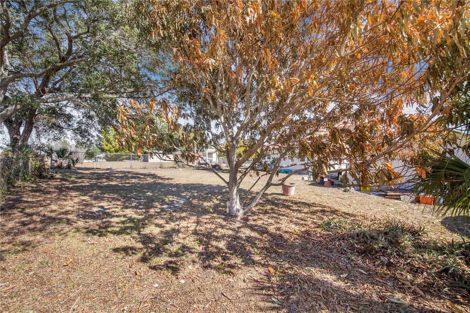 Image 30 of 42 For 118 5th Street