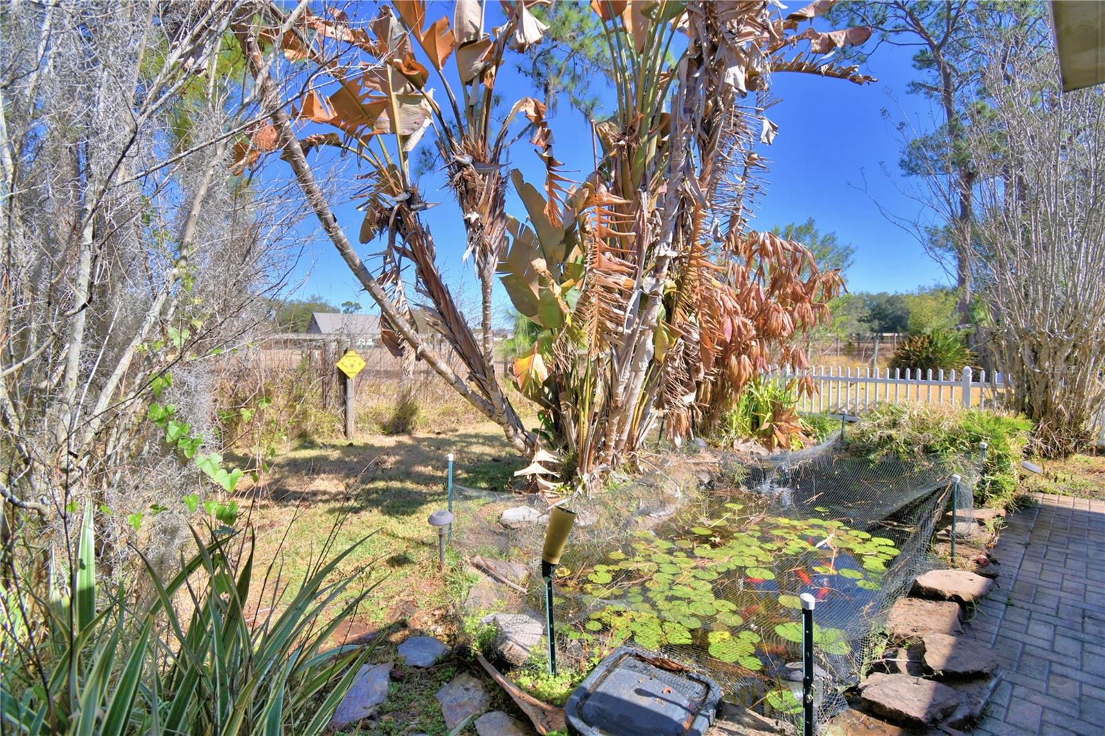 Image 41 of 51 For 447 San Jose Drive