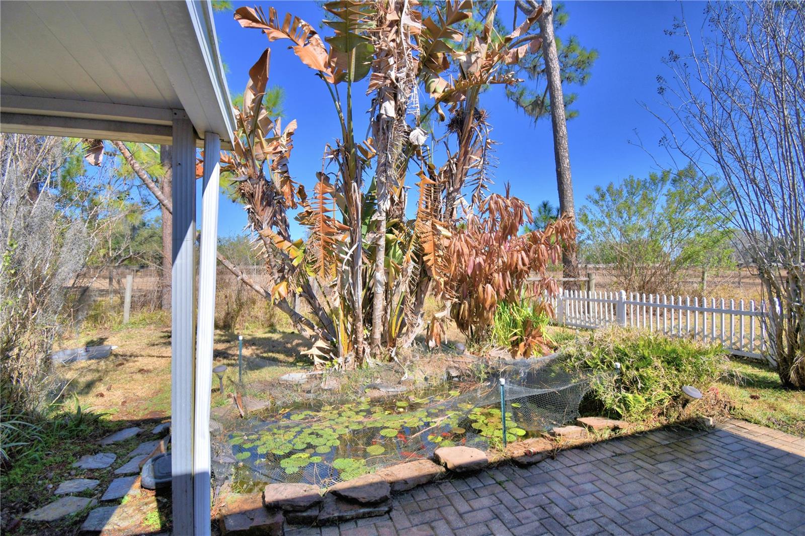 Image 42 of 51 For 447 San Jose Drive