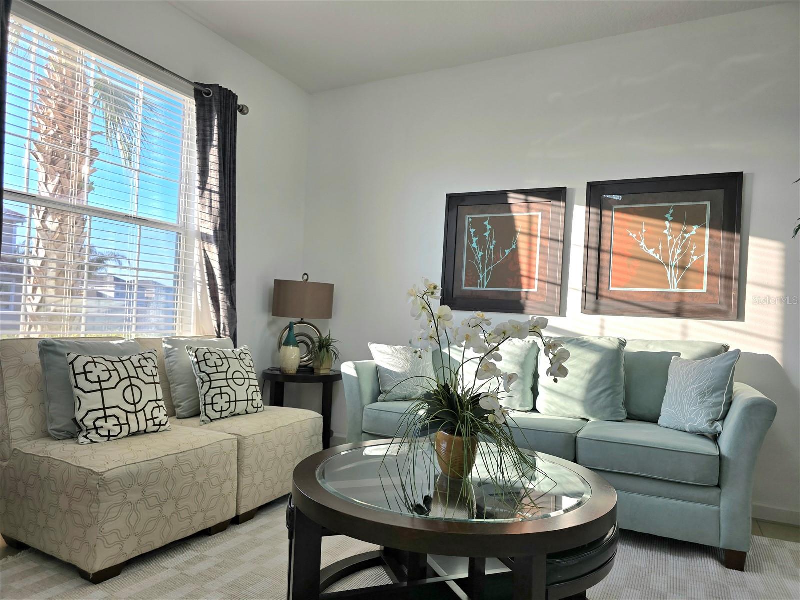 Image 11 of 61 For 381 Cabello Drive