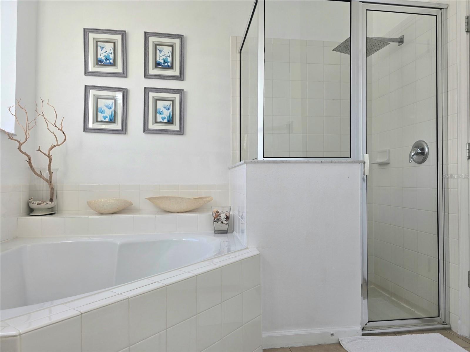 Image 32 of 61 For 381 Cabello Drive