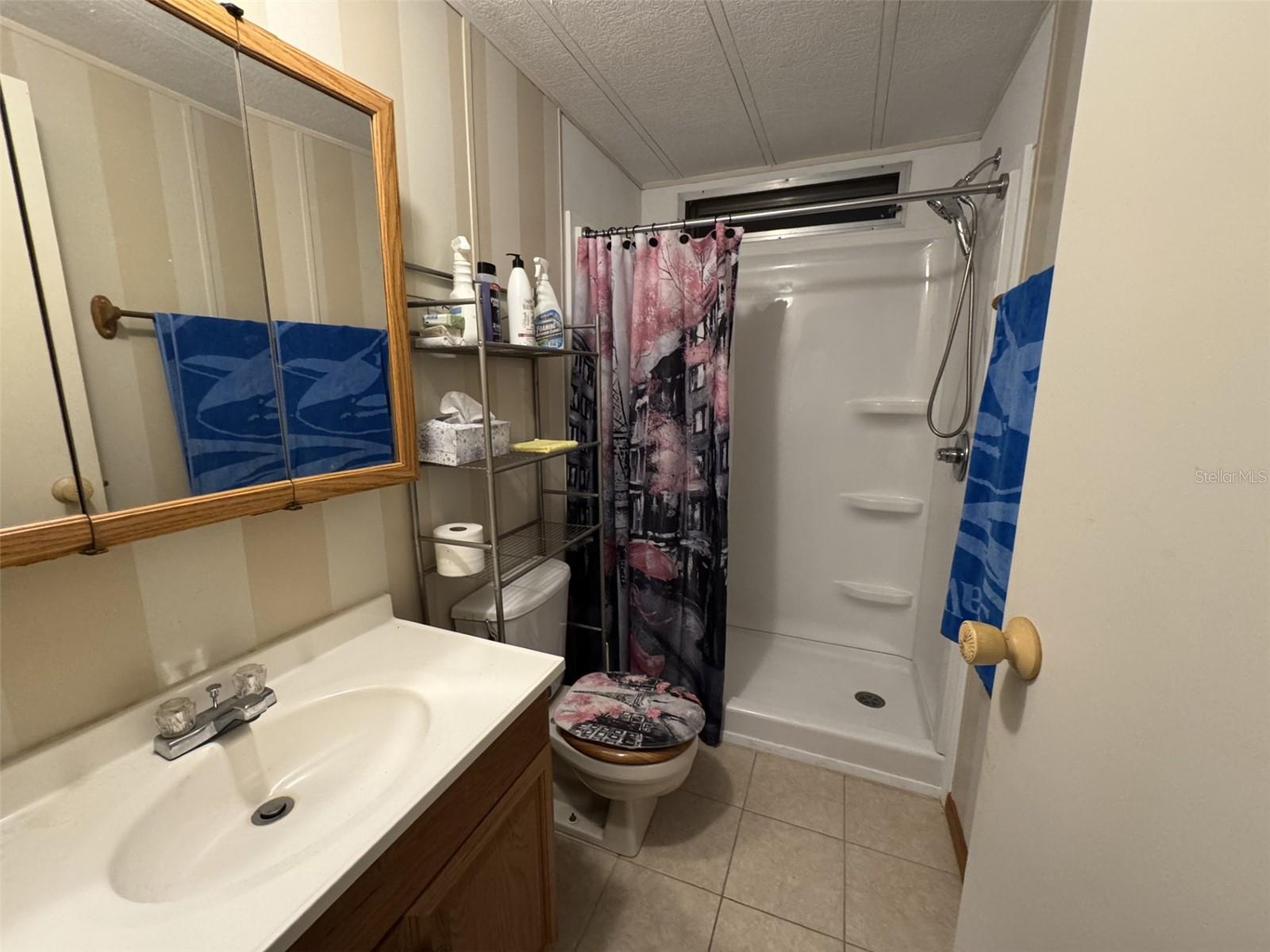 Image 11 of 47 For 8508 Breeze Hill Drive