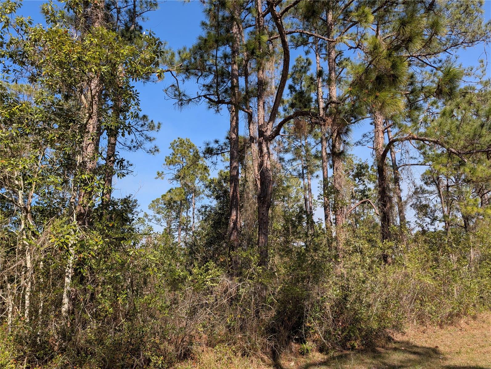 Details for 214 & 216 Allamanda Drive, INDIAN LAKE ESTATES, FL 33855