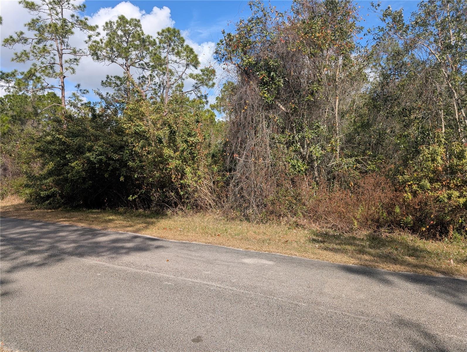 Image 4 of 45 For 214 & 216 Allamanda Drive