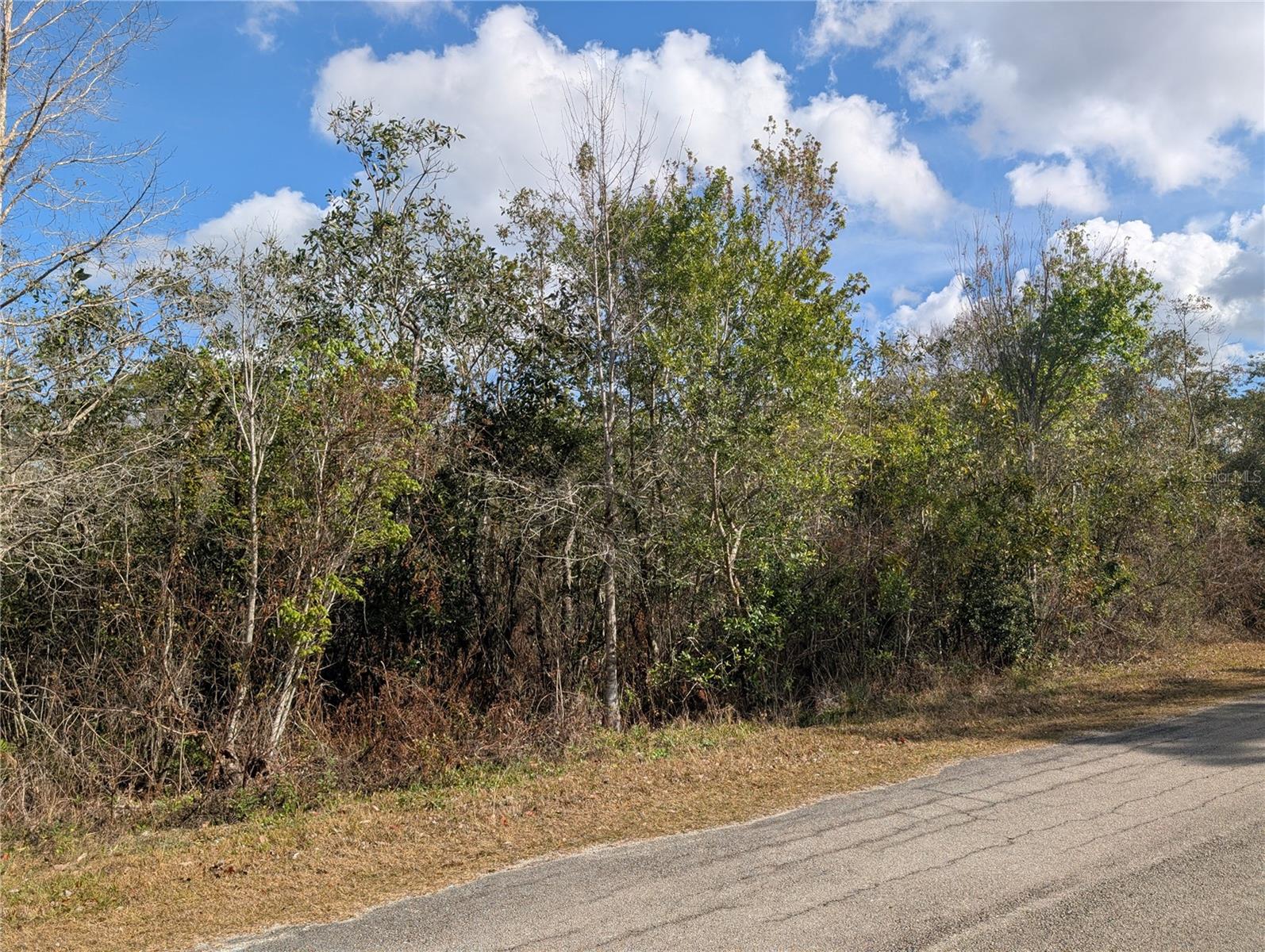 Image 5 of 45 For 214 & 216 Allamanda Drive