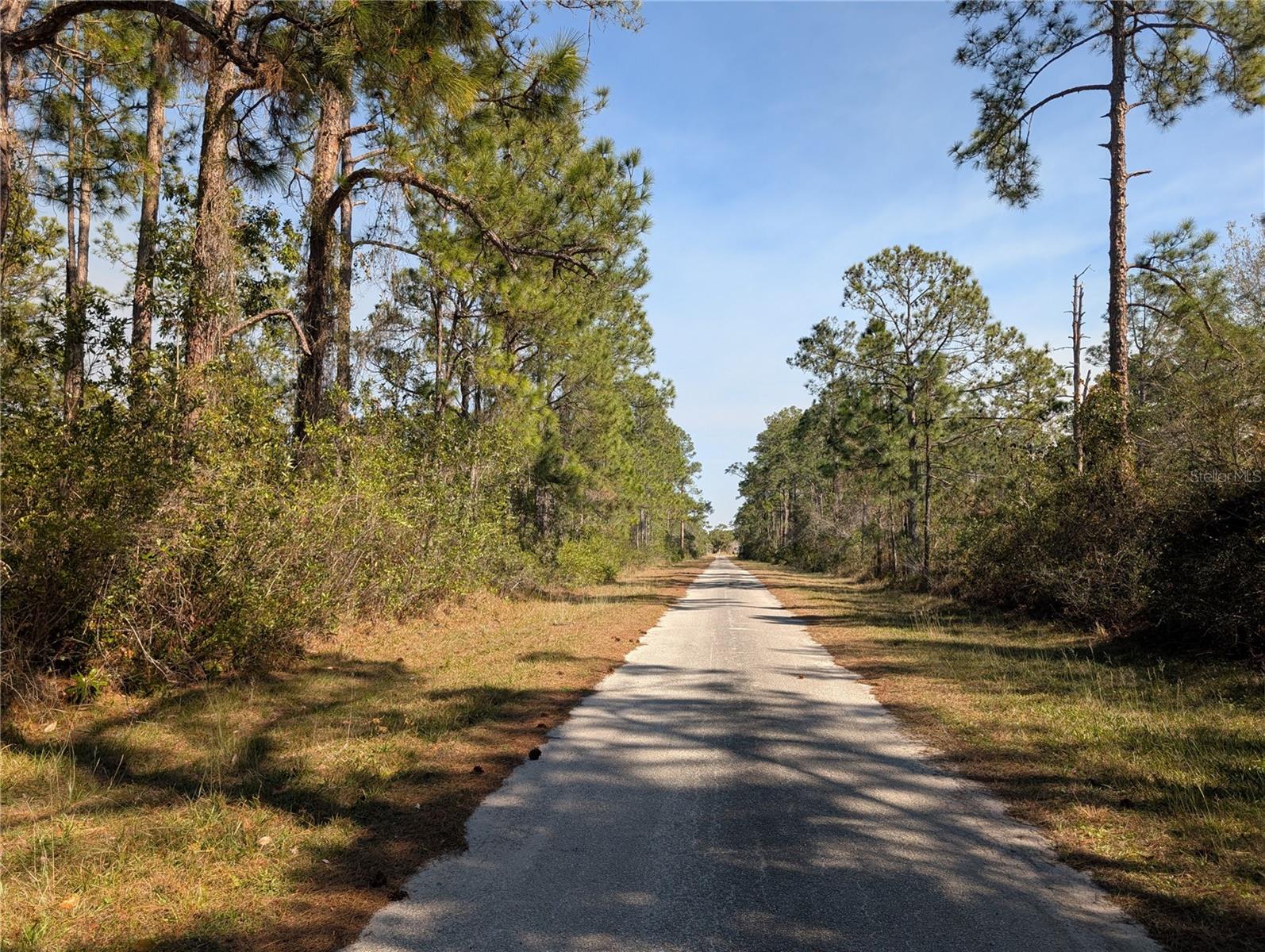 Image 6 of 45 For 214 & 216 Allamanda Drive