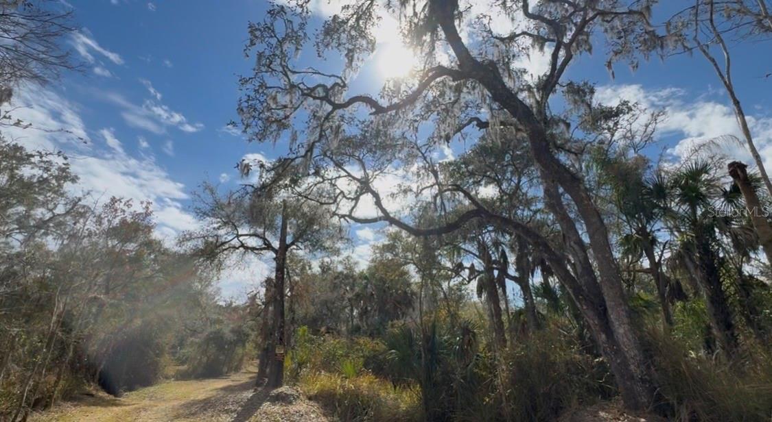 Image 3 of 60 For 4051-3803 Dixiana Drive