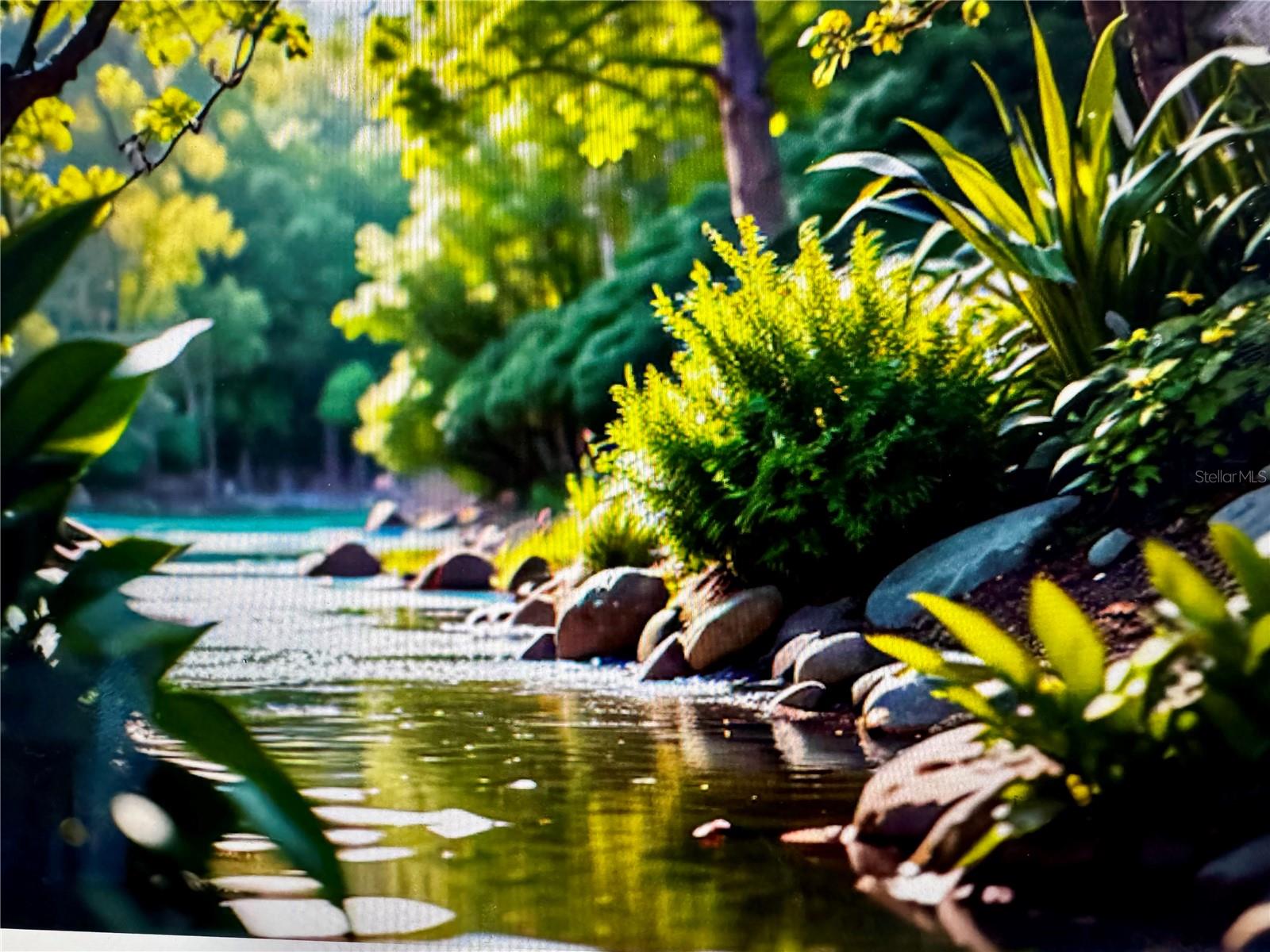 Image 5 of 60 For 4051-3803 Dixiana Drive