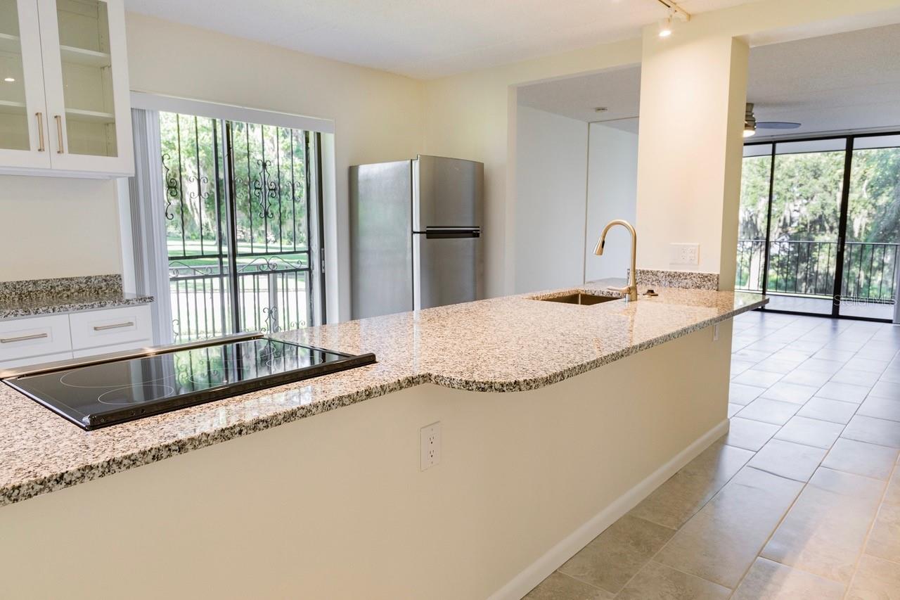 Image 10 of 17 For 208 Lake Howard Drive Nw 104