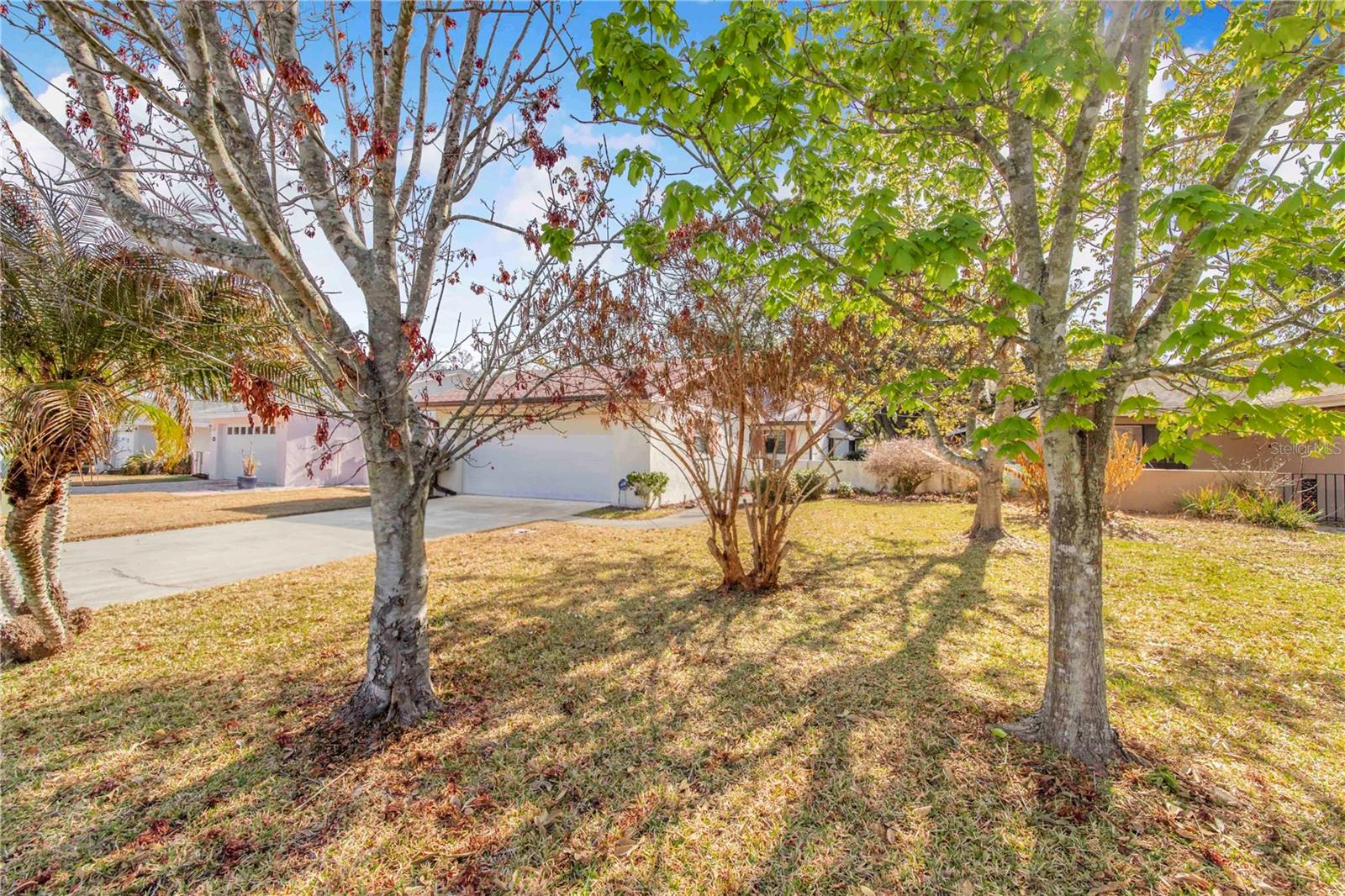 Image 4 of 50 For 459 Pinehurst Court