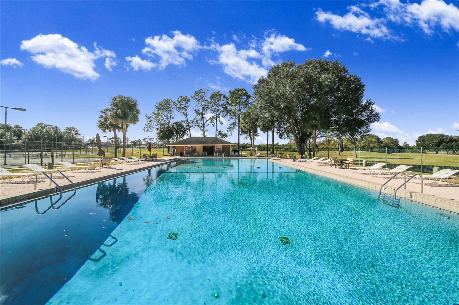 Image 42 of 50 For 459 Pinehurst Court