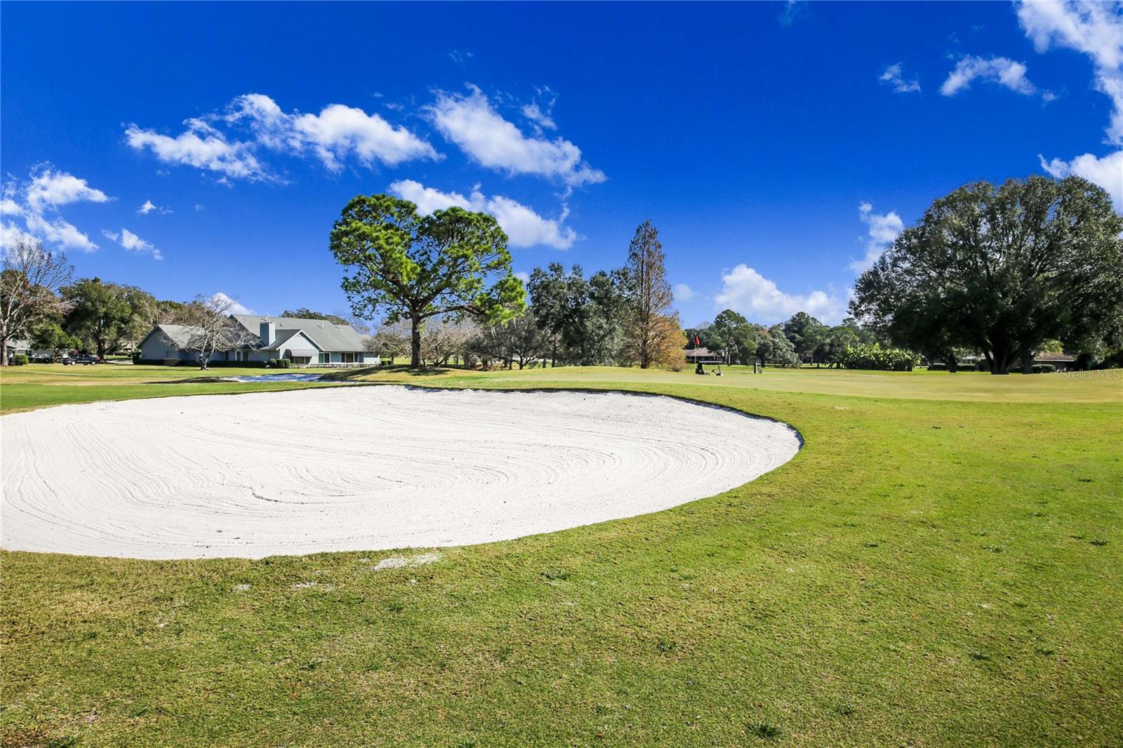 Image 44 of 50 For 459 Pinehurst Court