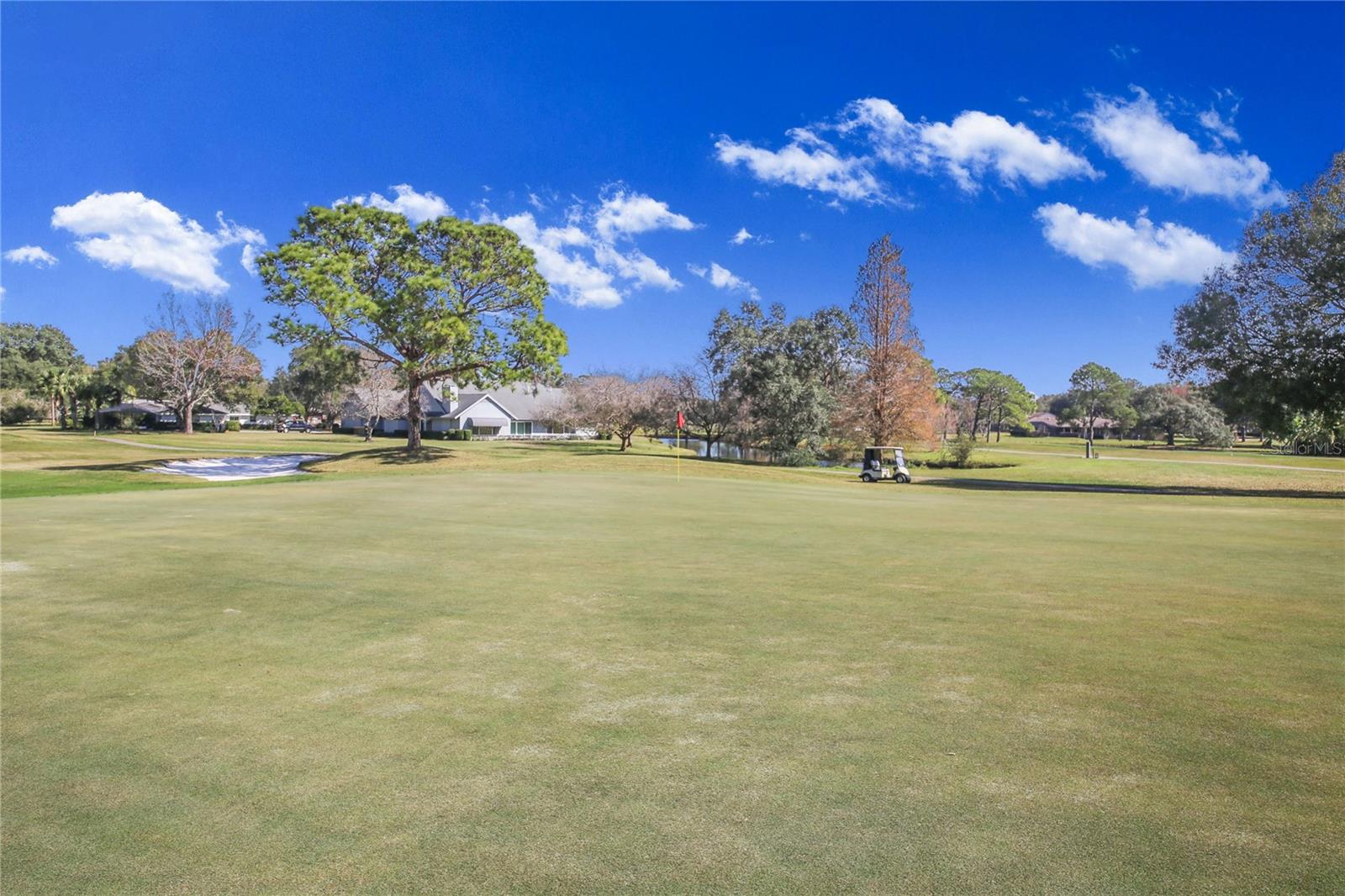 Image 45 of 50 For 459 Pinehurst Court